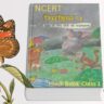 NCERT Class 1 Hindi Book Solution